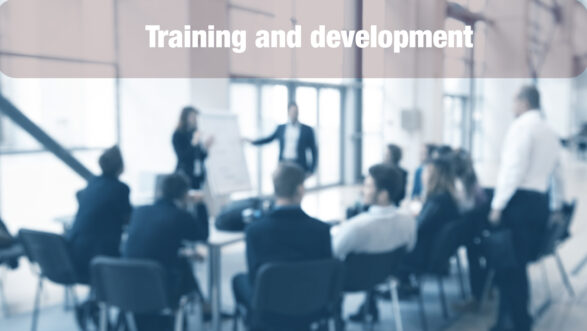 training and development